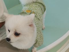 -怪兽屋·羊驼·猫咖·狗咖(俊华广场店)