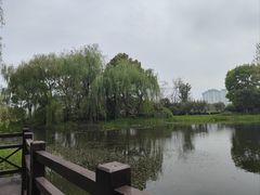 -澹台湖公园