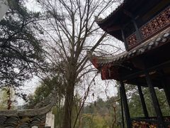 -常德桃花源景区