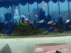 -黄金海景大酒店-旋转餐厅