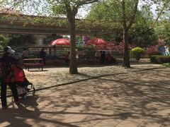 -朝阳公园游乐园