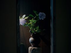 -见山茶事(丽水路店)