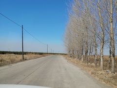 -白渔泡湿地公园