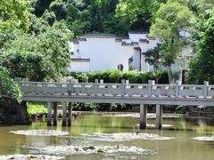 -深圳国际园林花卉博览园