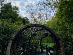 -望江楼公园