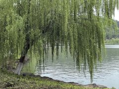 -东钱湖小普陀景区