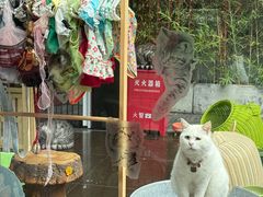 -府学·秋果S酒店(北京南锣鼓巷四合院店)