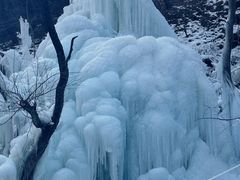 -照金香山旅游景区
