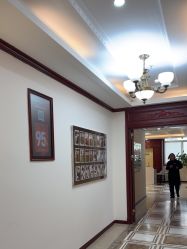 -南京医科大学友谊整形外科医院