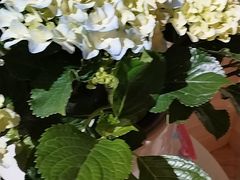 -麓湖国际水疗