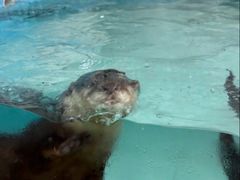 -祥源·阜阳生态乐园