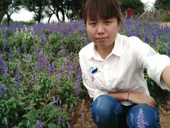 -松山湖梦幻百花洲