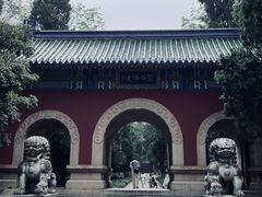 -灵谷景区