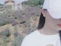 -大塘金香草谷