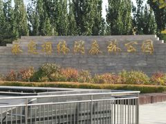 -永定河休闲森林公园