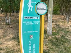 -水西公园