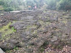 -海口火山口国家地质公园