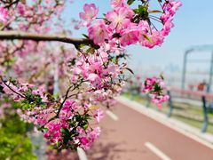 -龙美术馆(西岸馆)