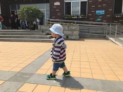 -兴城海滨风景区
