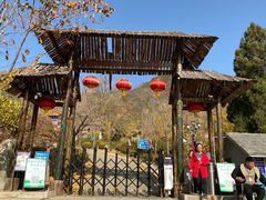 -遵化市禅林寺古银杏风景园