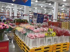 -山姆会员商店(上海浦东店)
