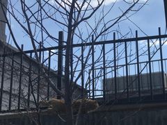 -北京湖广会馆