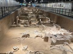 -洛阳周王城天子驾六博物馆