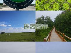 -塞罕坝国家级自然保护区