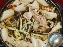 -蘑统田下·野生菌火锅