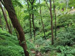 -崂山九水游览区