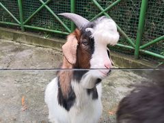 -杭州野生动物世界