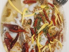 -新太二·鲜料川菜(智慧城广百店)