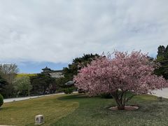 -北京友谊宾馆·俄罗斯餐厅