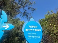-广东惠东海龟国家级自然保护区