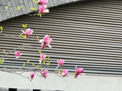 -隋唐大运河文化博物馆