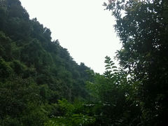 -四会奇石河风景区