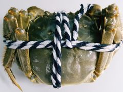 -丫丫蟹庄·苏式园林农家乐·阳澄湖大闸蟹(阳澄湖莲花岛店)