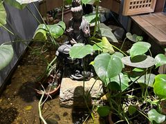 -邈墨茶馆(凤起路店)