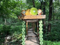 -大岭沟猕猴桃谷风景区