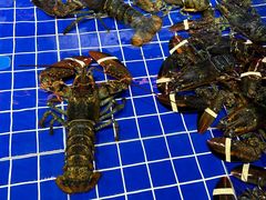 -宝轩渔府·老字号海鲜·正宗津菜(水上店)