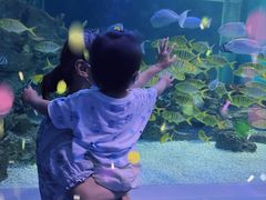 -常州海昌海洋探索馆