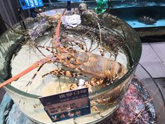 -强记海鲜·大排档(蛇口新街店)
