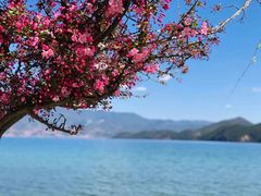 -丽江泸沽湖景区