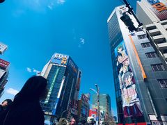 -秋叶原电器街