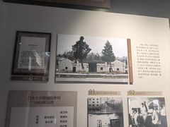 -千年银杏谷文化旅游区