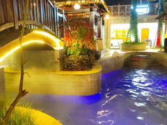 -嘉兴清池酒店温泉