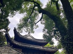 -天一阁博物院