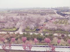 -古柏渡飞黄旅游区