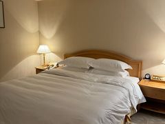 -南京维景国际大酒店(南京博物院店)