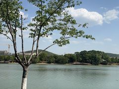 -羊山湖公园